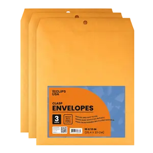 Kraft Clasp Envelopes - 10 X 13 Inches, 3-count