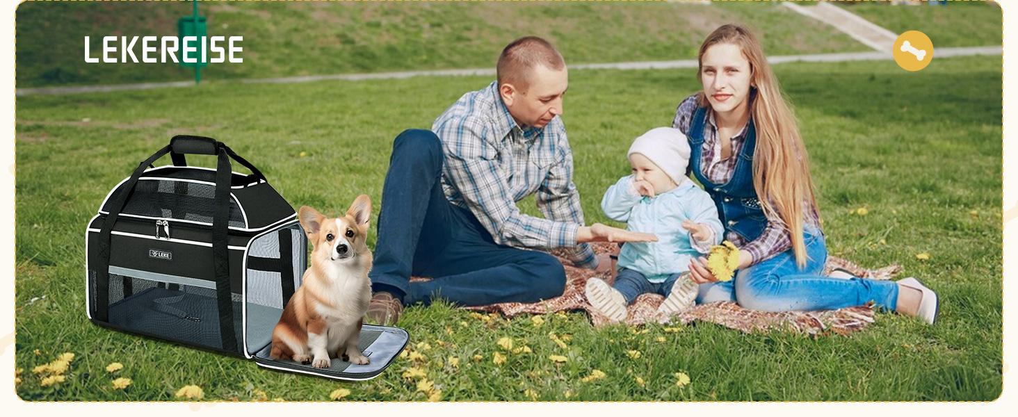 Lekereise Top-Expandable Pet Carrier 18x13x9.5 Inch Southwest Frontier Airline Approved Soft Sided Underseat to 15lbs Travel Carriers for Small Cats Dogs with Locking Safety Zippers Anti-Scratch Mesh