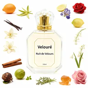 Velouré Nuit de Velours Perfume 100ml Long Lasting Fragrance with Notes of Iris Classic Aldehydic Flord Perfume Opulent Signature Warm Sophisticated Amber & Musk Women's Perfume