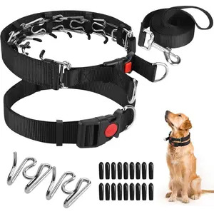 Training Collar with Comfort Tips and Quick Release Snap Buckle Dog Choke Pinch Collar with Nylon Cover