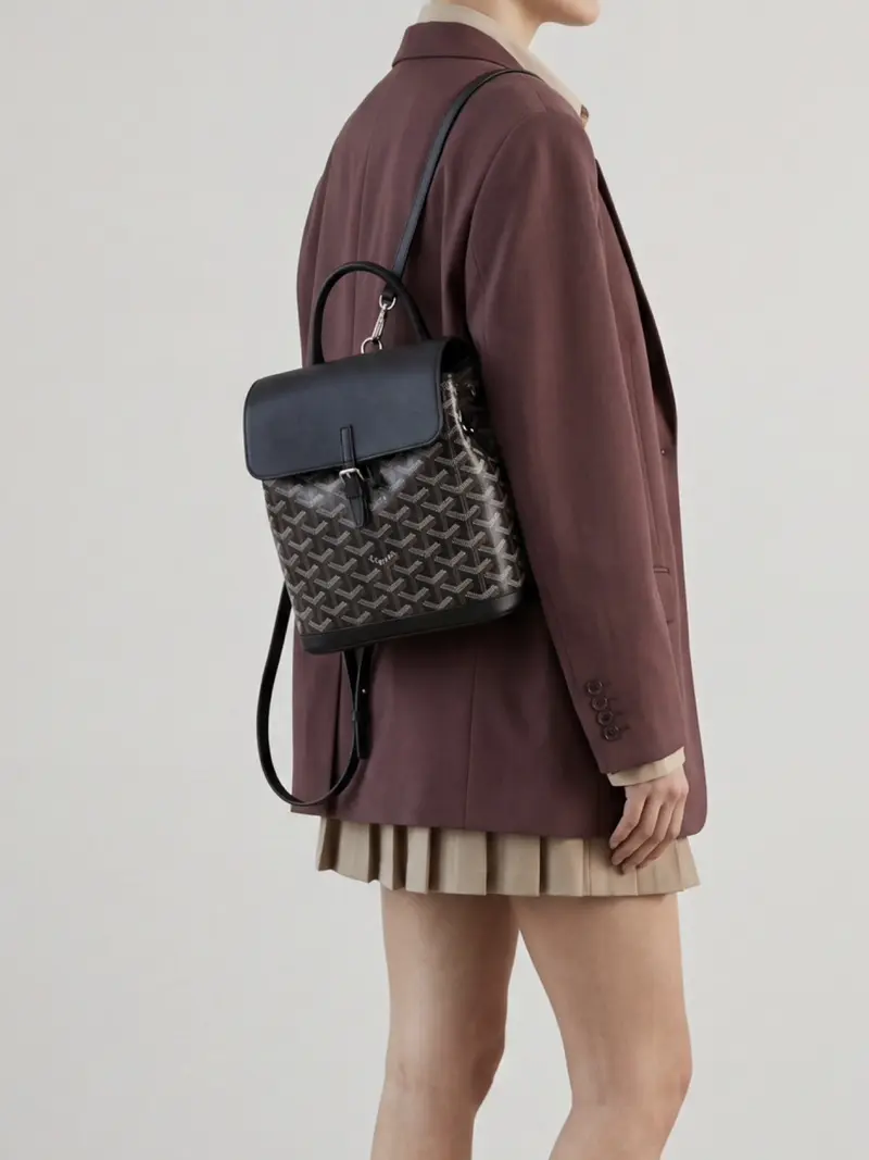 Goyard Backpack Alpine Mini Black Brown GOYARD ALPIN MINI BACKPACK REVIEW 2025 | Worth it? My honest  main image 4