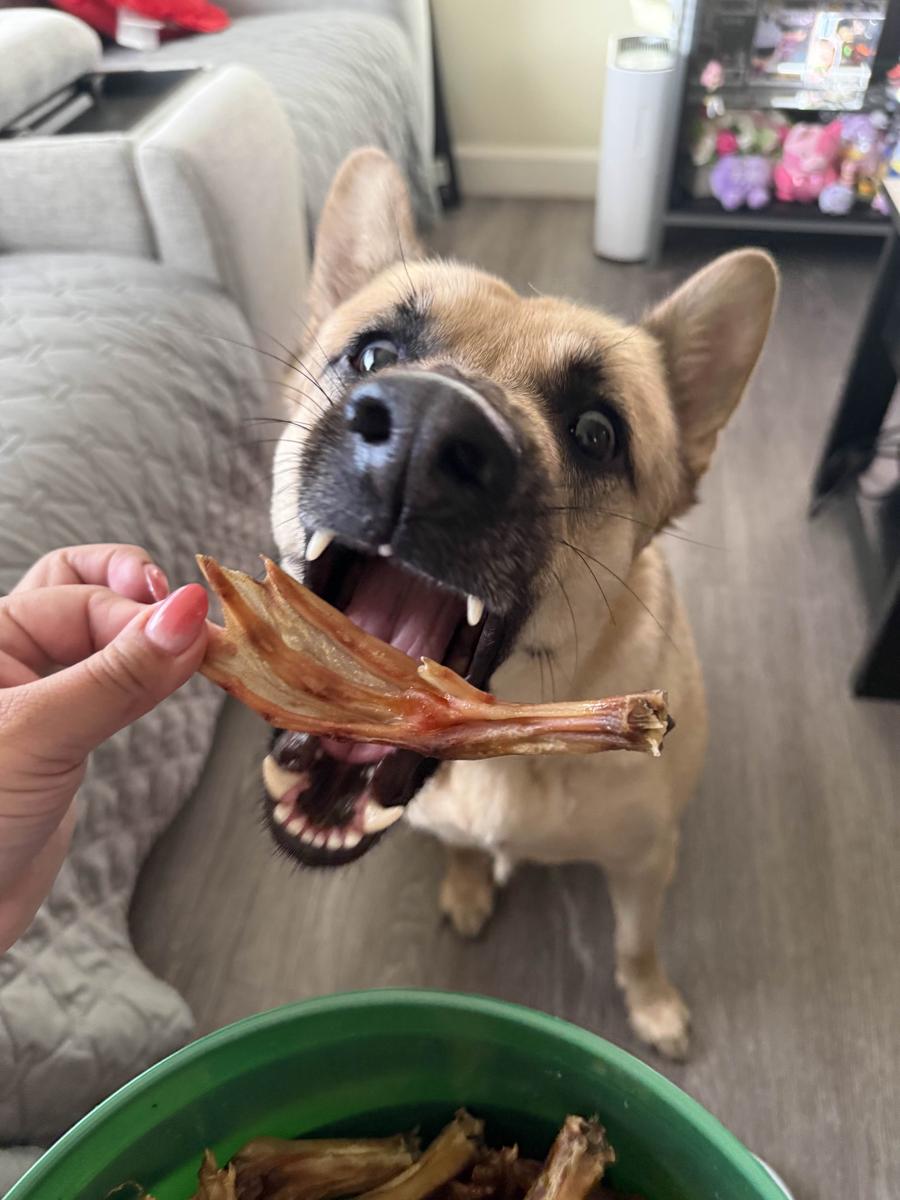 Item: 120 count bucket