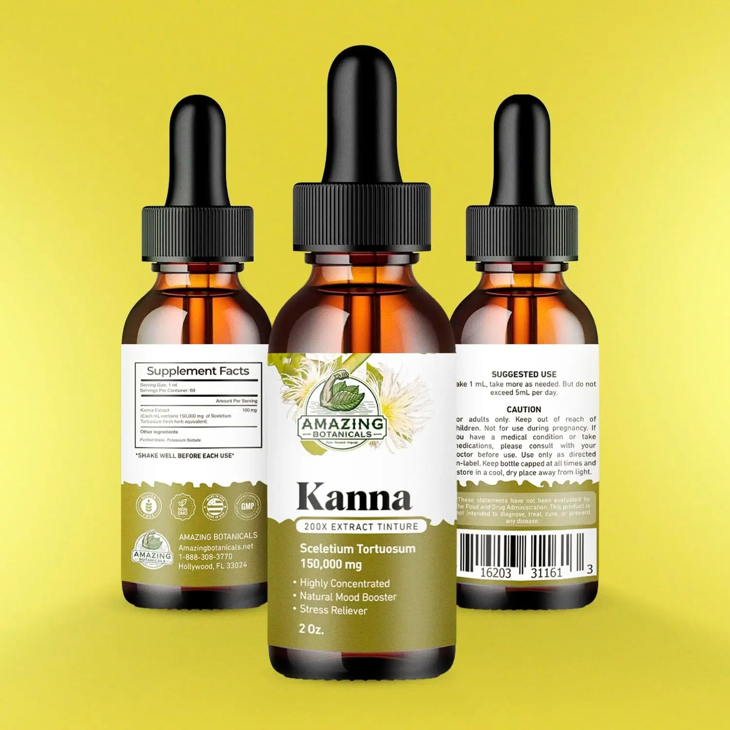 Amazing Botanicals Premium Organic Kanna Extract Tincture - 200x Sceletium Tortuosum Menstrum Liquid Edible Herb Drops, 60ml(2oz) Natural Hydration Health Dietary Supplement, Non-GMO, Vegan, Gluten-Free, Alcohol-Free, Herbs