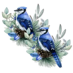 Acrylic Screen Door Magnets (Not for Retractable/Glass) - Blue Jay