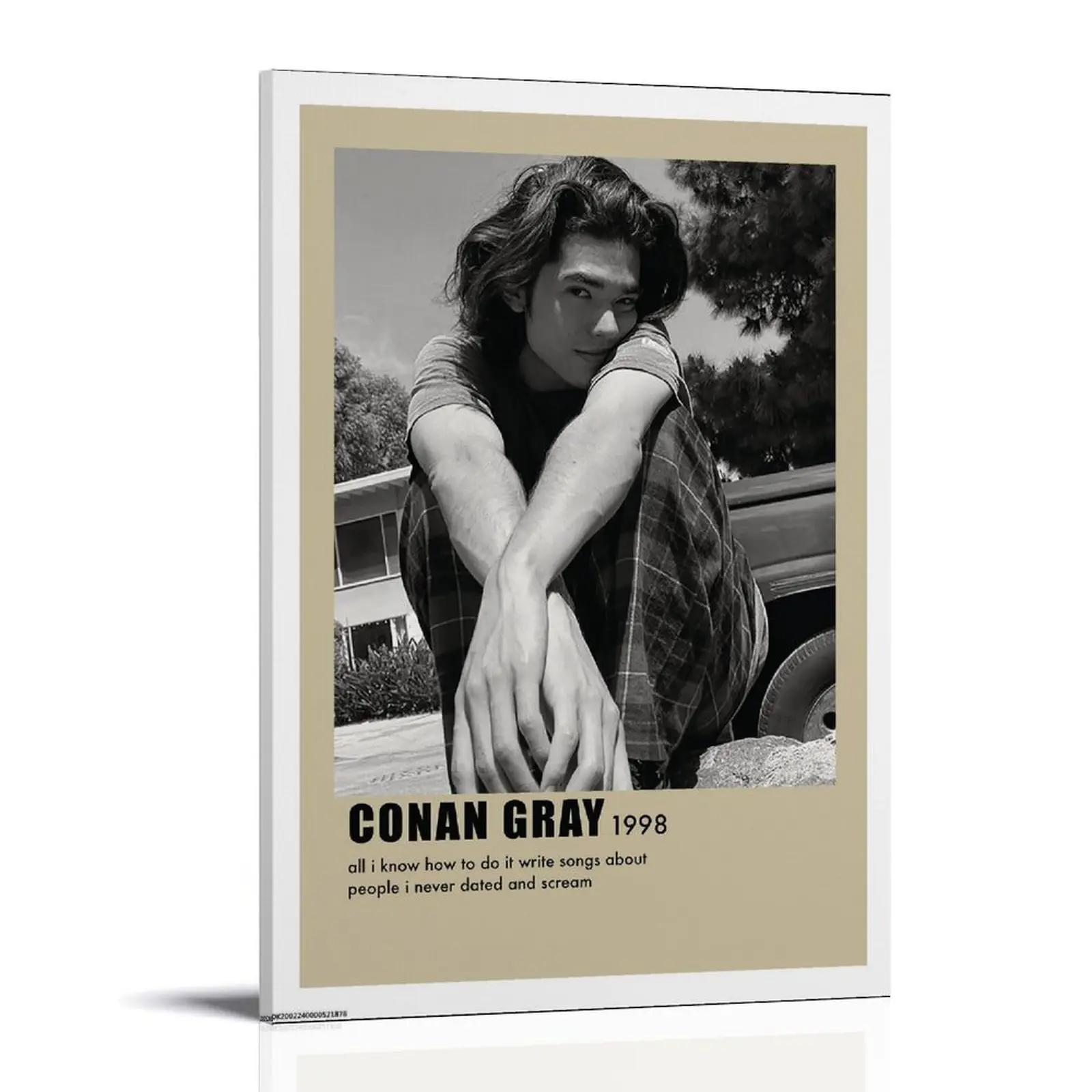 CONAN-GRAY Poster Posters Music Album Cover Posters Canvas Wall Art High-Resolution Vintage Band & Artist Prints for Room
