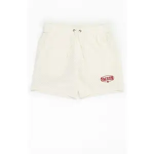 Pacsun Men's Cream Mesh Basketball Shorts