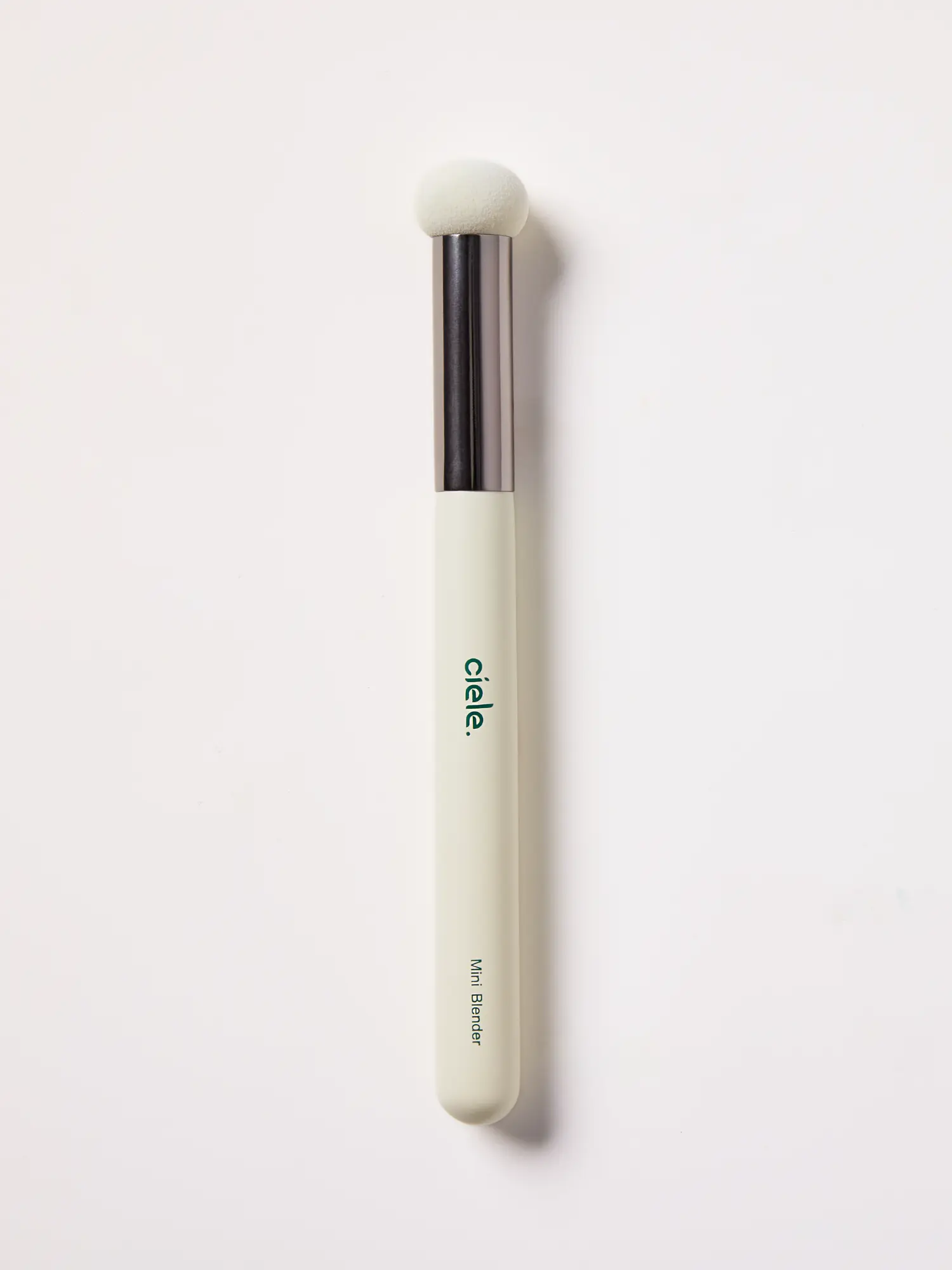 The Sponge Brush