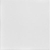 Plain White (Unpainted)