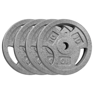Garvee Cast Iron Weight Plates Set 1 in, 2.5 LBS/5 LBS/10 LBS/25 LBS Bumper Plates for Home Gym, Strength Training & Weightlifting (4 x 10 LBS Sets)
