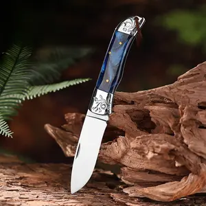 1PC High Hardness Multifunctional Fruit Knife Stainless Steel Multifunctional Mini Folding Knife, Portable for Outdoor Use, Keychain Design, Easy To Sharpen Fruits