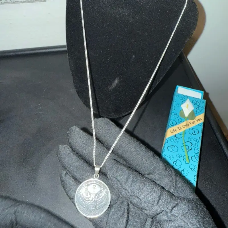 Ancient Protection  Modern Style  This silver scarab necklace brings good energy, protection, and confidence everywhere you go. Lightweight, shiny, and perfect for everyday wear. Comes in a cute gift box   Limited stock — don’t miss it!