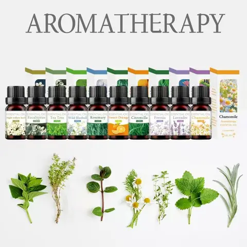 10 Bottles Pure Bliss Essential Oils - 100% Natural & Pure Therapeutic Grade Aromatherapy Oils for Wellbeing, Massage, Skincare & Home Cleaning - Long Lasting Fragrance - 10ml Bottles Wellness Healthcare