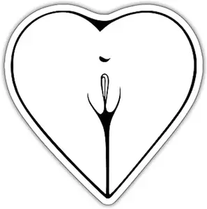 (3pcs) Ass Stick Hearts Sticker for Adult Laptop Stickers for Adult Laptop Skateboard Motorcycle Car Bike Luggage Case Decoration Waterproof Decals