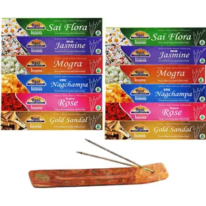 Rani Multi Pack Incense (Premium Masala Incense Made of Natural Herbs) 2 of Each Scents (Total of 12 Packets) ~ Total of 120 Incense sticks | For Puja Purposes | Indian Origin