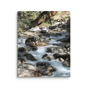 Cascading Creek Canvas Print