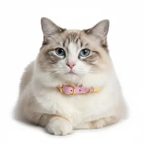 Flocked Cat Collar — Adjustable & Durable with Optional Bell