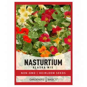 Alaska Mix Nasturtium Seeds