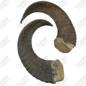 Hero Ram Horn Props Black Adam