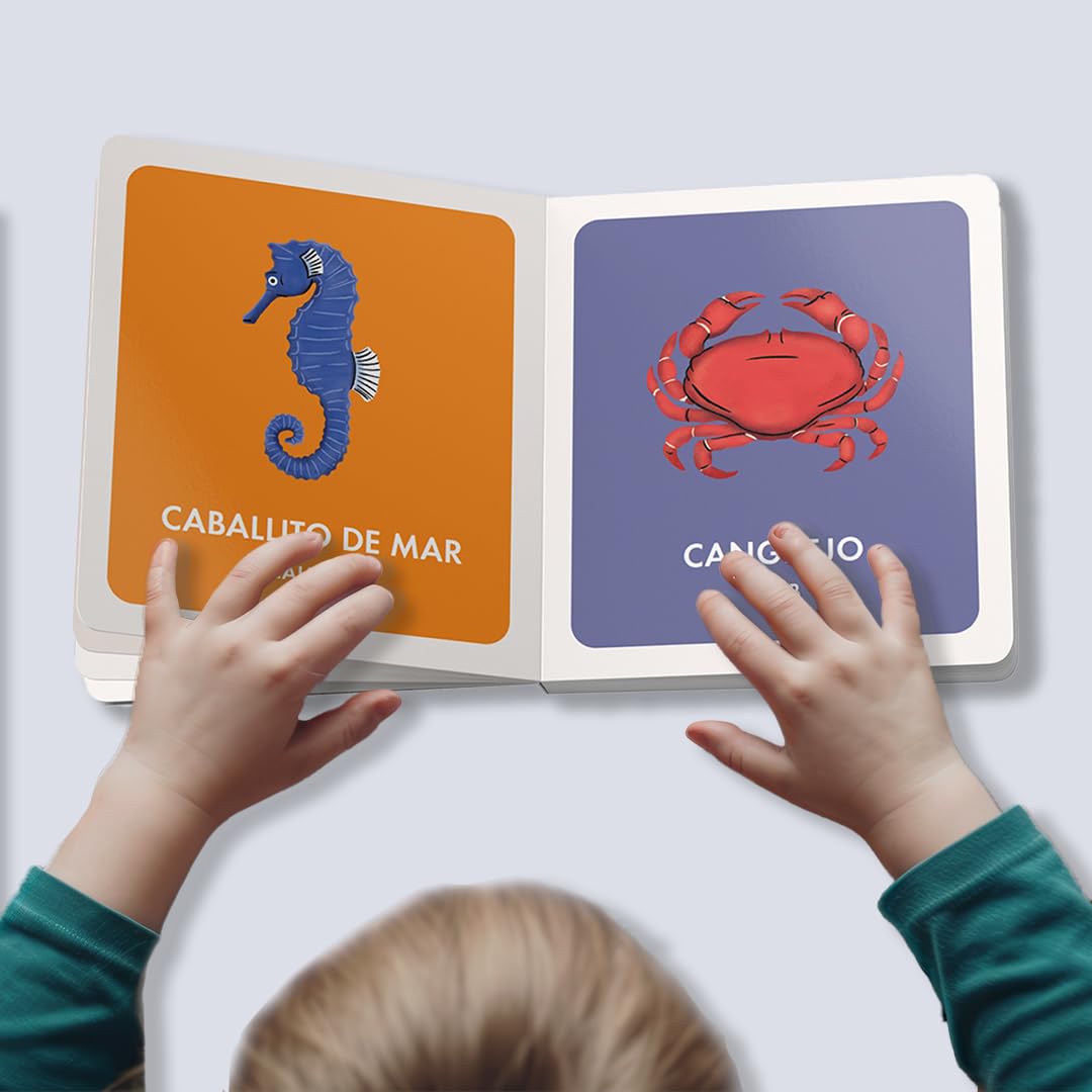 My First Bilingual Library: A Spanish-English Vocabulary Board Book Set of Colors, Numbers, Animals, ABCs, and More (Si Sabo Kids)