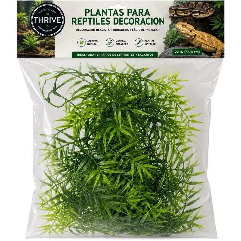 Premium Reptile Terrarium Plants