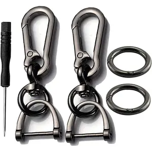 2 Sets Car Keychain car key clip Quick-Release Horseshoe Shape D-Ring Key Fob Holder with Round Carabiner Keychain