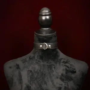 Leather D Ring Collar