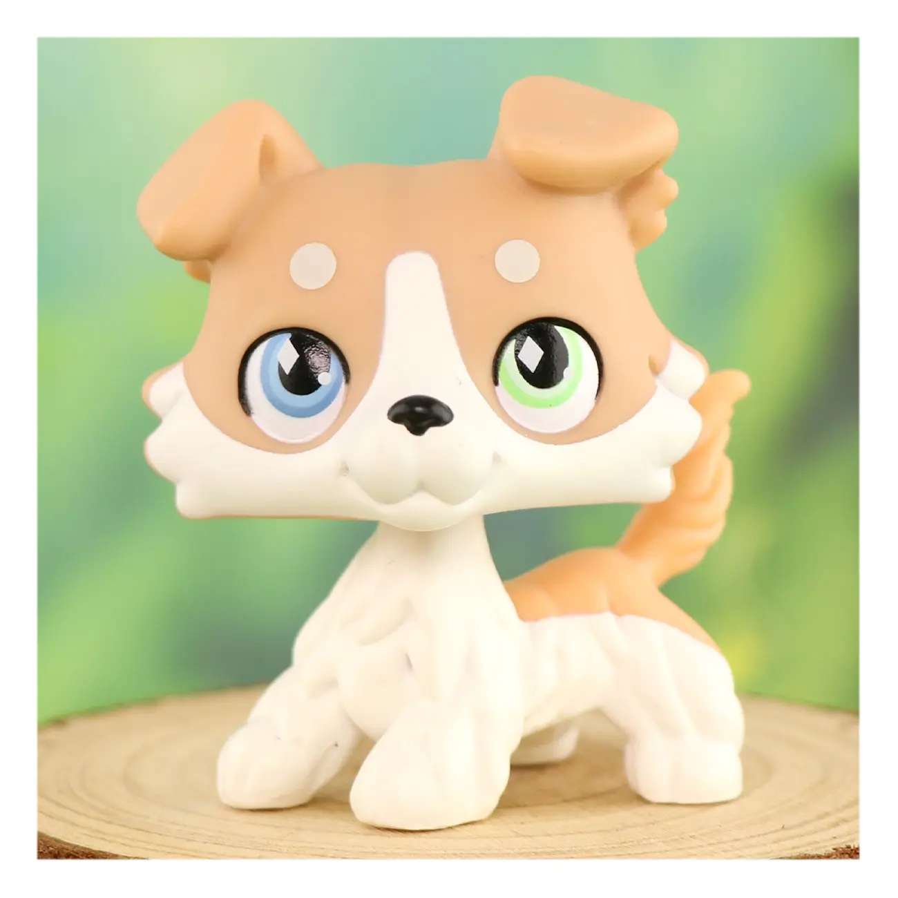 vanilla collie