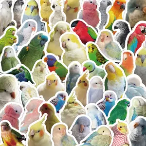 100pcs Realistic Style Parrot Stickers, High-Value Cute Parrot Bird Illustration, Self-Adhesive Stickers for Phone Cases, Desktops, Stationery, Tablets, Valentine's Day, Suitable for Roller Skating and Cycling, Cycling Stickers and Decals