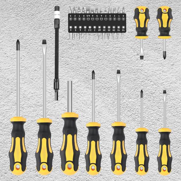 43-piece Screwdriver Set, Include Phillips, Slotted, Pozidriv, Hex, Torx, and Magnetizer demagnetizer Precision Screwdriver Set for Tools for Men