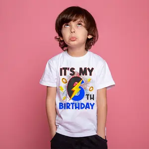 It's My 6th Birthday Boy Matching Hedgehog Party Funny T-Shirt, Funny Video Game 6 Year Old Birthday Party Shirt,Birthday Trendy Shirt