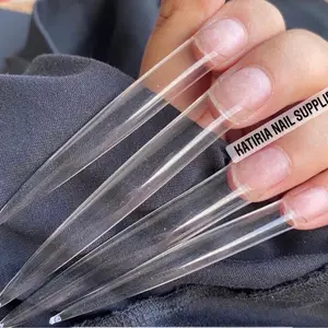 4XL Stiletto nail tips