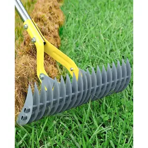 Thatch Rake,Dual-Sided Lawn Dethatcher with Stainless Tines Efficient Thatching Tool for Removing Dead Grass & Moss & Ergonomic Handle