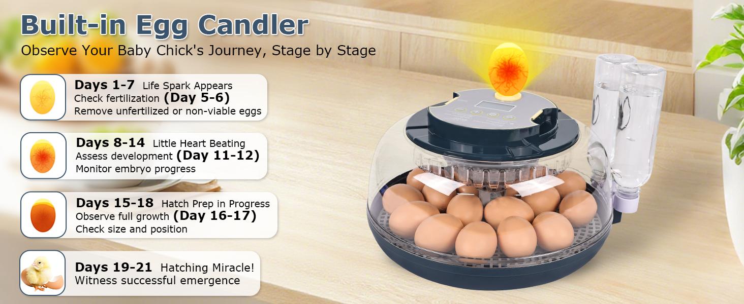 18-Egg Incubator — Fully Automatic Egg Turning & Water Refilling; Features Digital Temperature & Humidity Display, Incubation Countdown Timer, and Built-in Egg Candler; 360° Panoramic Viewing Design; Suitable for Incubating Chicken, Duck, and Quail Eggs.