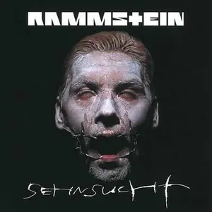 Rammstein - Sehnsucht  [VINYL RECORD - LP] Ltd Ed