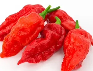 Ghost Pepper (Bhut Jolokia) - 25+ seeds Ghost Pepper (Bhut Jolokia) - 25+ seeds