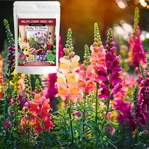 20000+Pcs Wildflower Seed Mix 2 Packs, 35 Varieties Non-GMO Perennial & Annual Seeds Featuring Lupine, Shasta Daisy & Cosmos, Attracts Pollinators & Grows Beautifully Across Most US Zones
