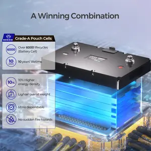 RENOGY 12V 100Ah Smart Lithium Iron Phosphate Battery