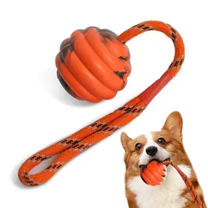 Dog Ball Toys Bouncy Rubber Ball Chew Toys Pet Dog Toy Ball with String Interact