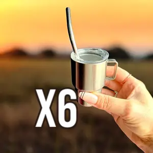 Set of 6 Mini Stainless Steel Tumblers