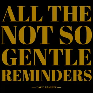 David Ramirez - All The Not So Gentle Reminders  [VINYL RECORD - LP]