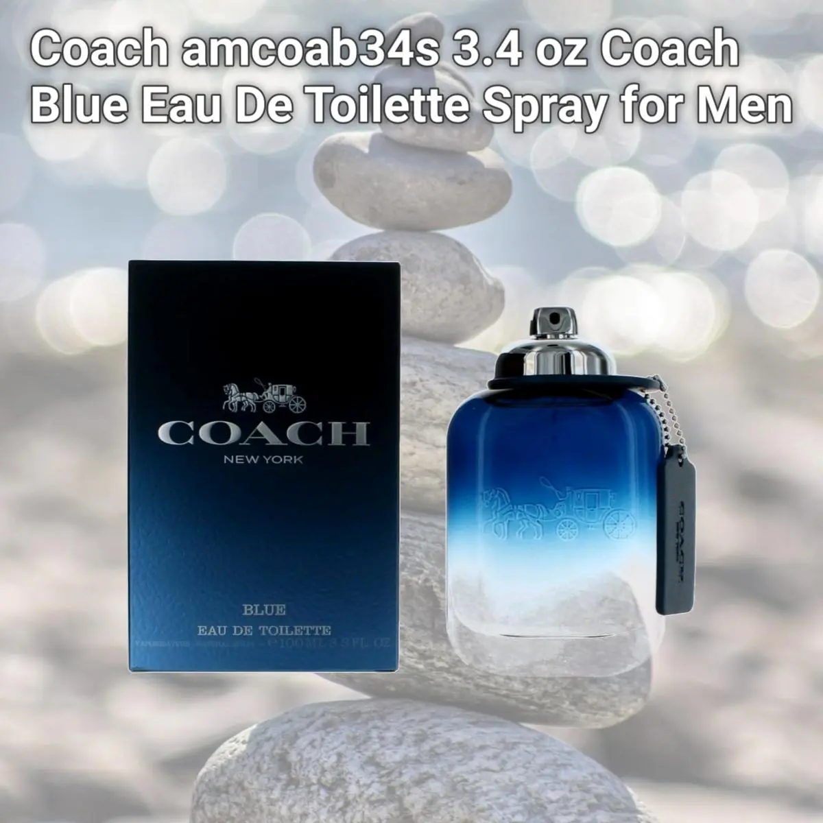 Coach Men's 3.4oz Blue Eau De Toilette Spray - Smoky Cedarwood
