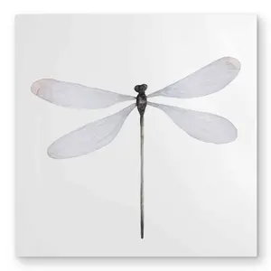 212 MAIN Minimalist Dragonfly Wall Art - 32x32 in Lightweight Aluminium Animal Artwork, Metallic Decorative Insect Ornament for Living Room, Animal Artwork Prints, Decorative Prints