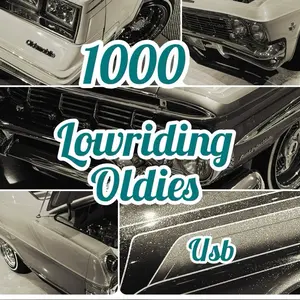 1000 oldies usb
