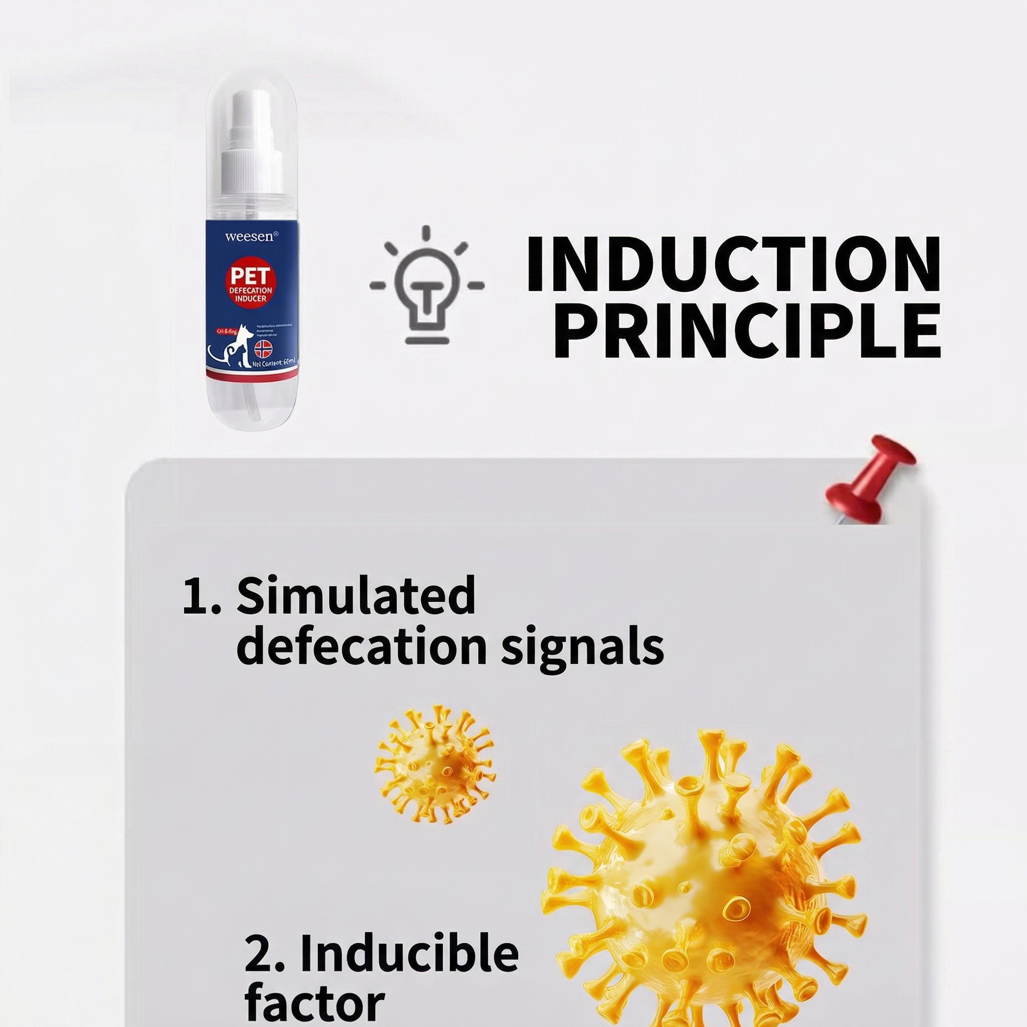 Dog Potty Training Spray | Go Here Puppy Pee Attractant Spray for Housebreaking Natural Formula Indoor & Outdoor 5 Fl OZ