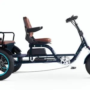 EVRY journey EBike Rickshaw 750w