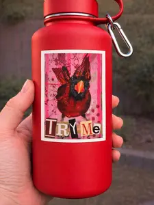“Try Me” Cardinal Sticker | Funny Angry Bird Sticker | Sassy Vinyl Sticker