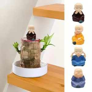 Live Mini Lucky Bamboo Wood Plant with Ceramic Tray, Buddha Statue for Indoor/Outdoor Home Decor, Purifies Air brazilian lucky