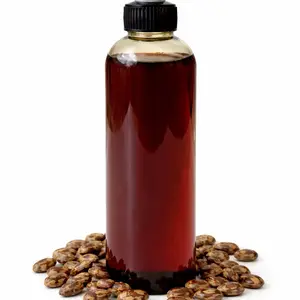 Lwil maskriti ki soti ayiti 8z