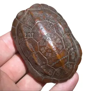 Oriental Wealth Dominates the Land Alloy Turtle Shell Feng Shui Ornament
