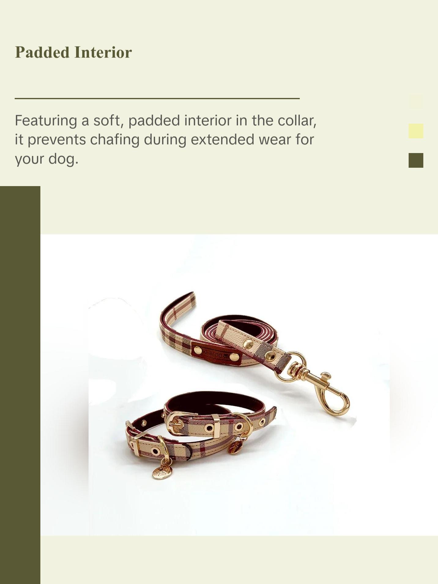 Leather Pet Collar and Leash Set